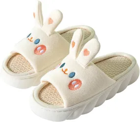 Gaolinci Cartoon Animal Shape Slippers, Womens Four Seasons Home Linen Slippers